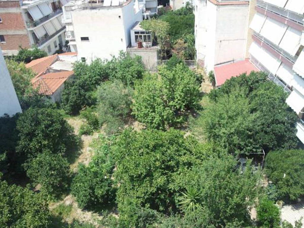 Foivos Ξενοδοχείο Λουτρά Αιδηψού Δωμάτιο φωτογραφία